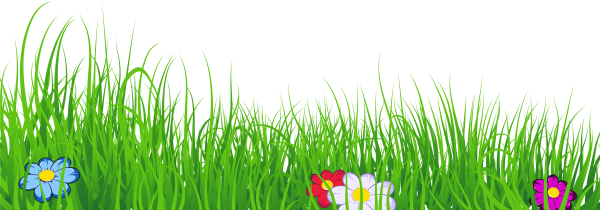 Трава с цветами на прозрачном фоне