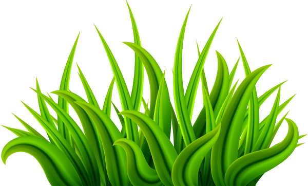 Трава мультяшная