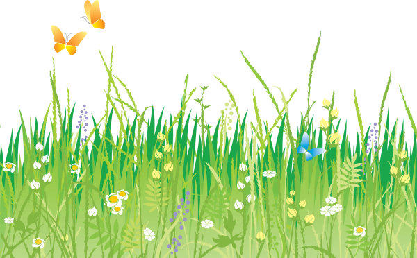 Трава рисунок