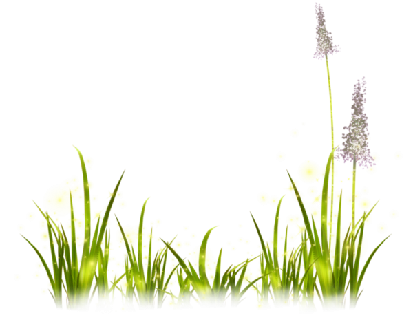 Рамка трава