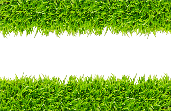 Рамка зеленая трава