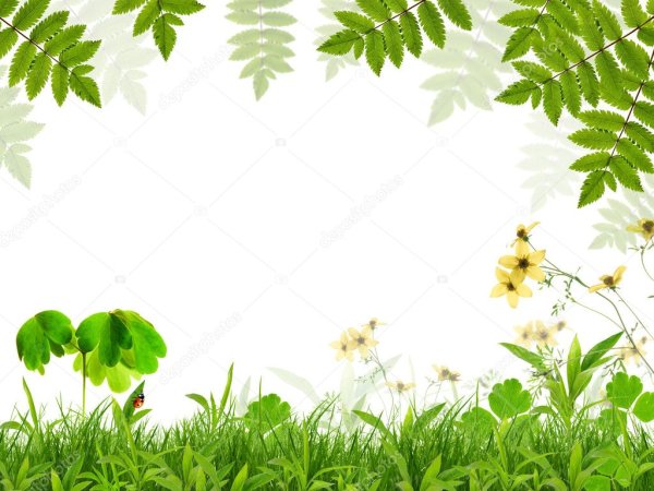 Рамка травка