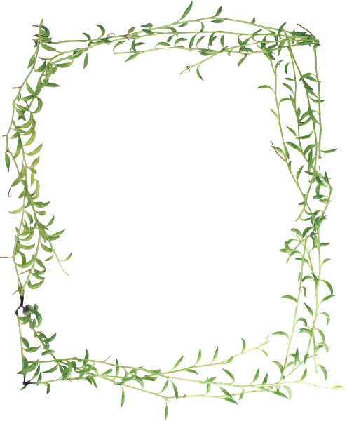 Растительная рамка