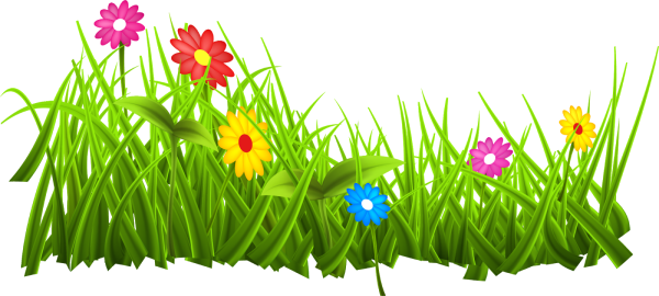 Трава с цветами вектор