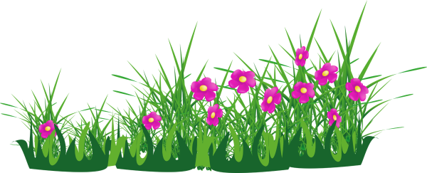 Клумба с цветами вектор