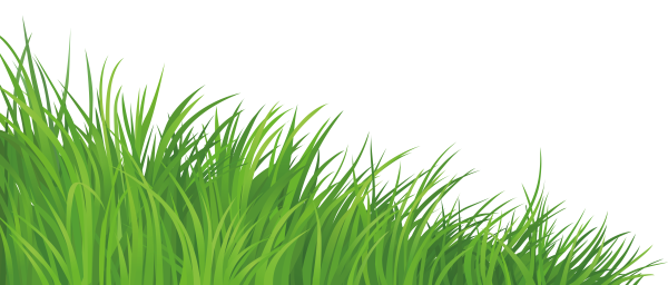 Трава рисунок