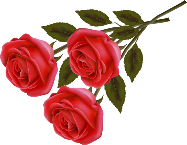 Розочка на прозрачном фоне