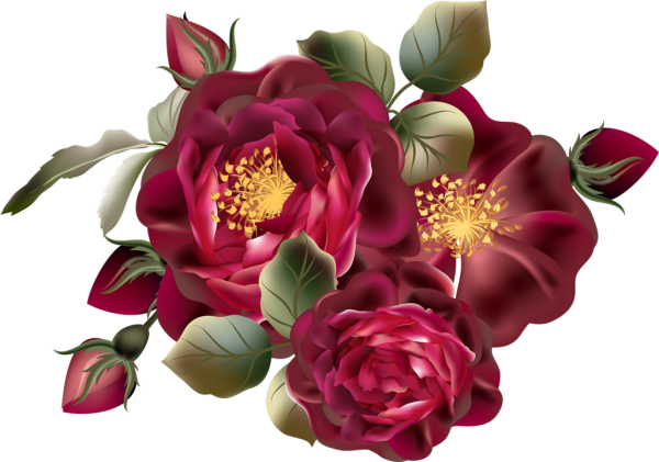 Цветы на прозрачном фоне