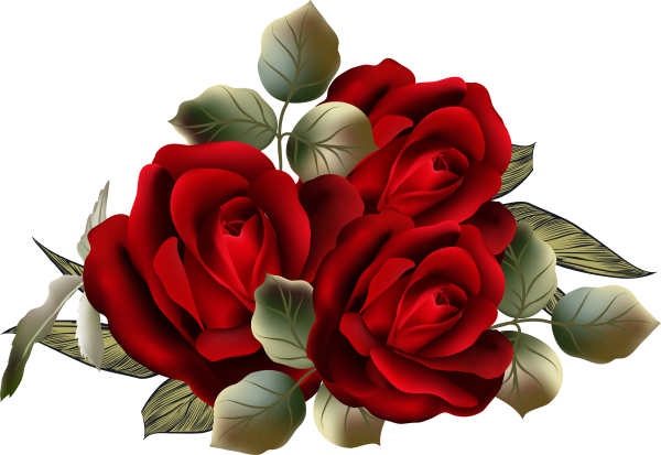 Красивые розы на прозрачном фоне