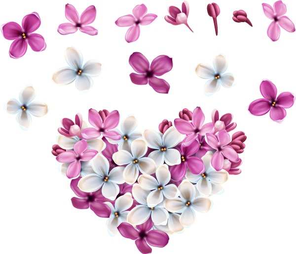 Россыпь цветов