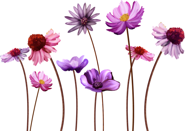 Цветы на белом фоне