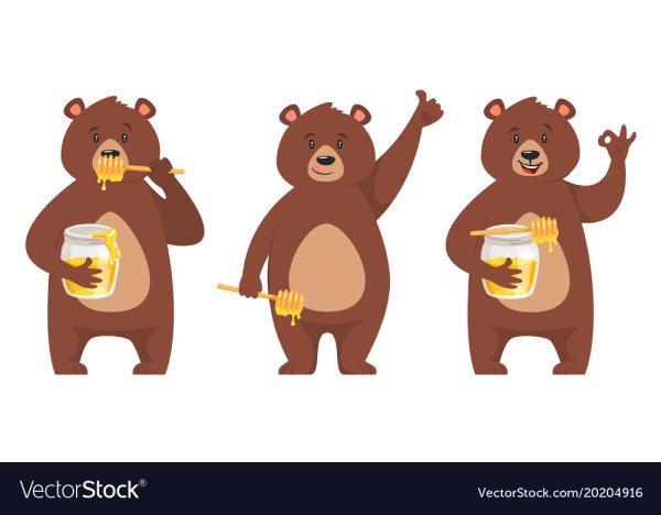 Медведь с медом вектор