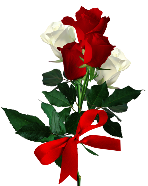 Цветы на прозрачном фоне