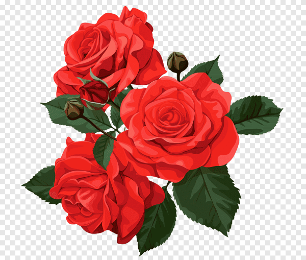 Стикеры цветов