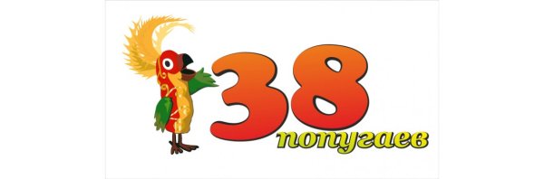 Попугай из 38 попугаев