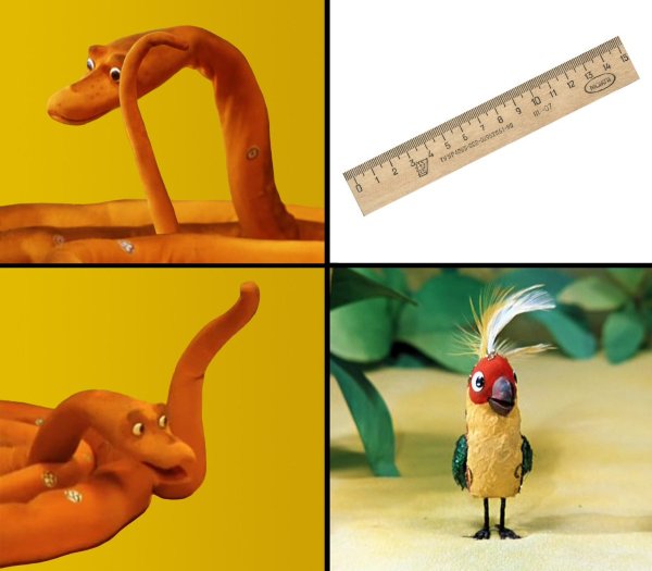 38 Попугаев измеряли длину