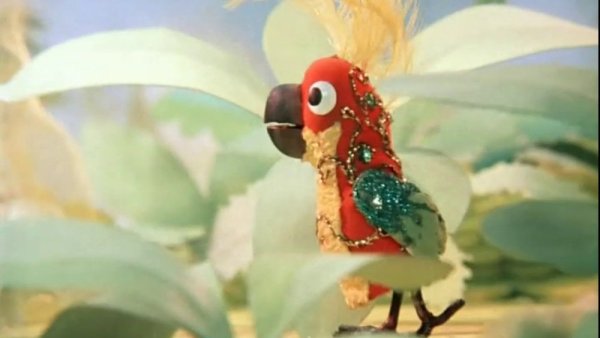 Попугай из мультика ЗЗ попугая
