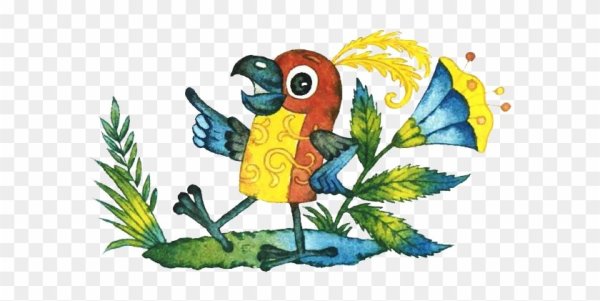 Остер попугай иллюстрации