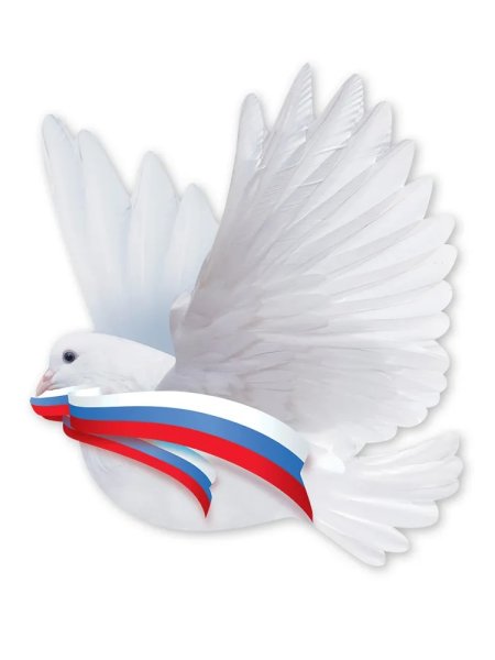 Голубь с Российской ленточкой