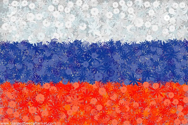 Фон в стиле российского флага