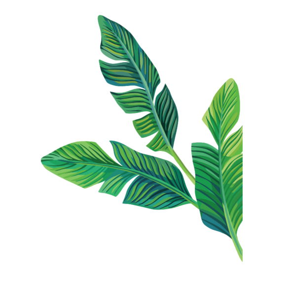 Тропические листья вектор