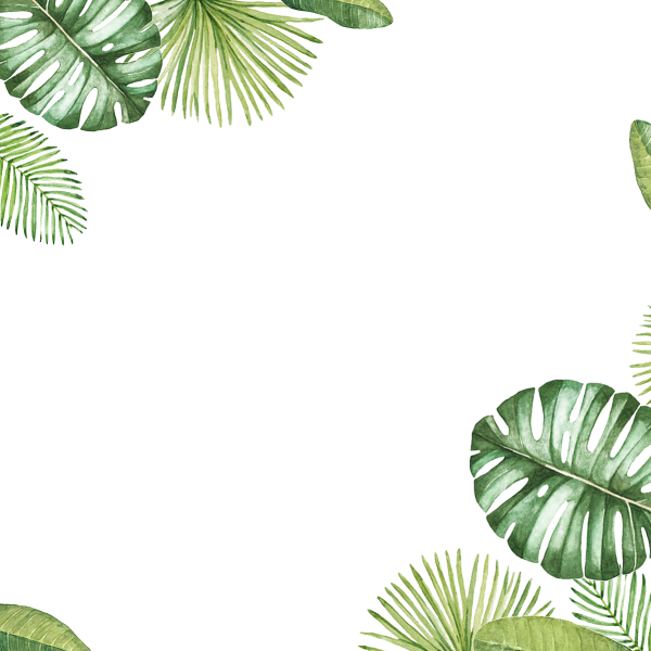 Зеленые тропические листья