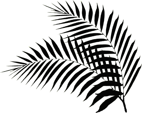Силуэт тропических листьев