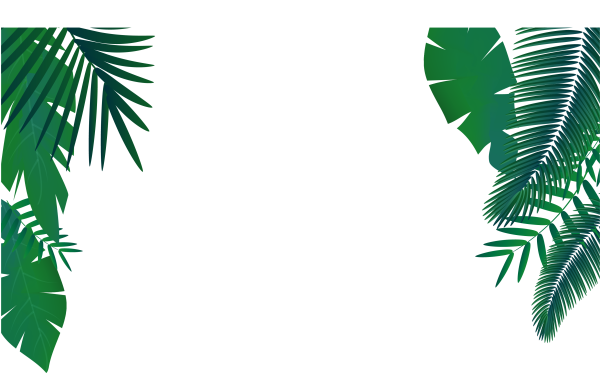 Ветка пальмы