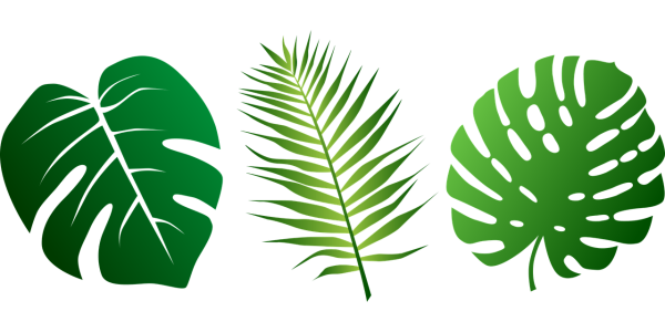 Тропические листья СВГ