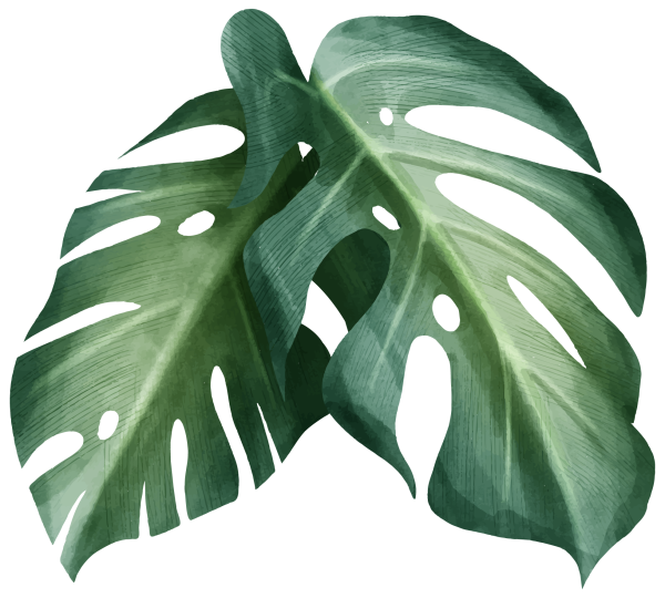 Лист пальмы