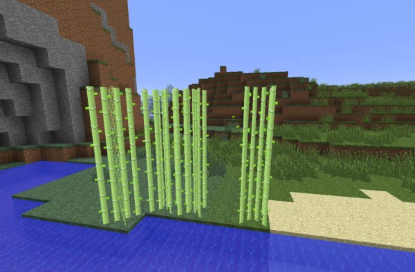 Minecraft сахарный тростник