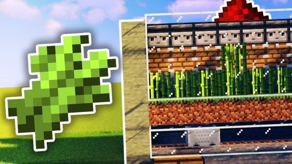 АФК ферма тростника