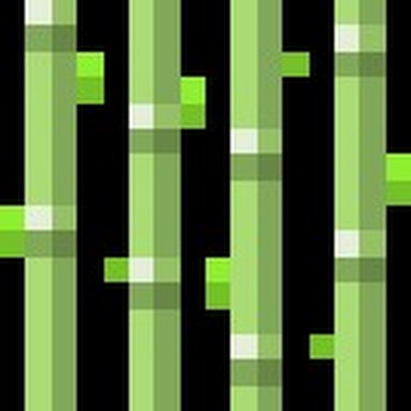 Сахарный тростник майнкрафт