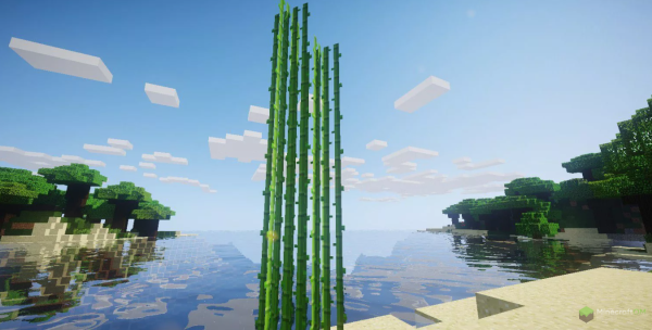 Тростник майнкрафт 1.17