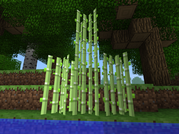 Бамбук в МАЙНКРАФТЕ