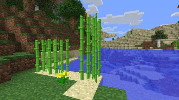 Тростник майнкрафт 1.17