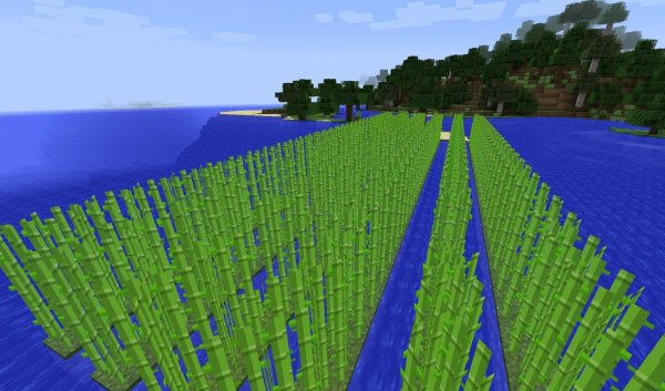 Minecraft сахарный тростник