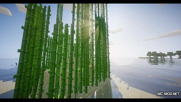 Тростник 1.12.2