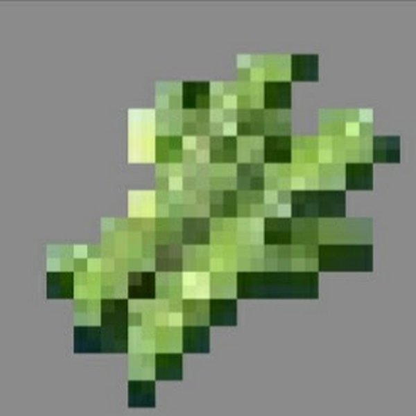 Майнкрафт Рид