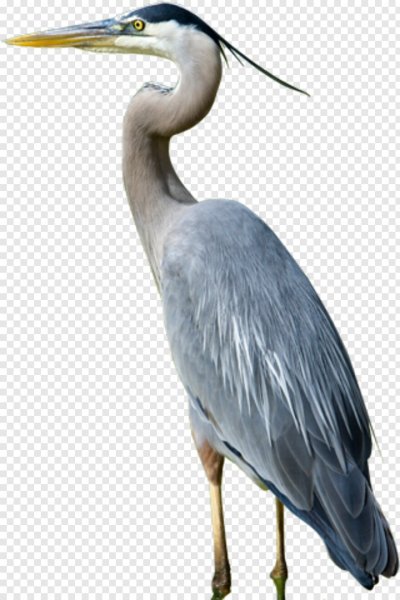 Серая капля на белом фоне