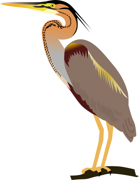 Цапля без фона