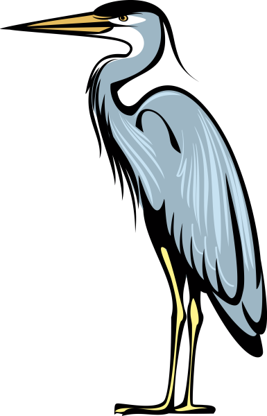 Цапля на прозрачном фоне