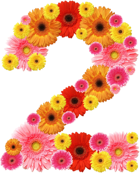 Цветочные цифры