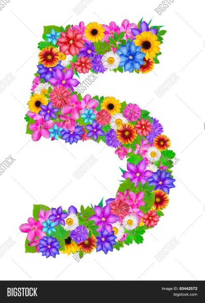 Цифра 5 в цветах