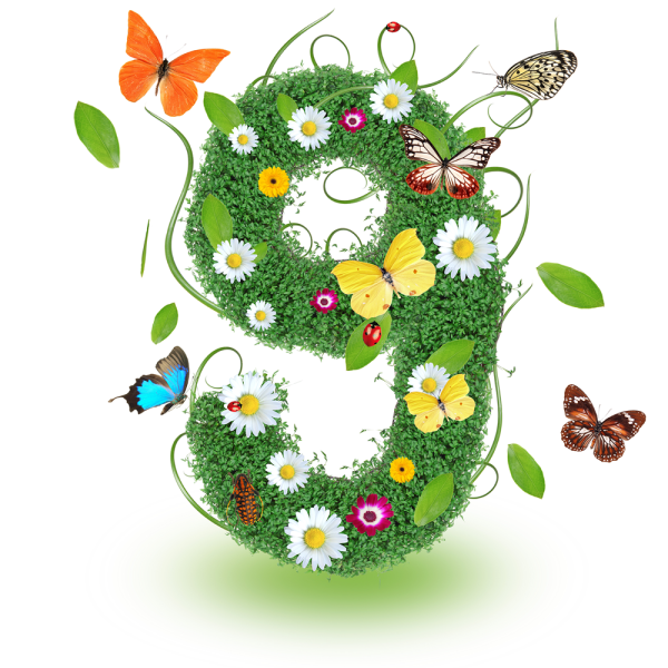 Цветочная клумба в виде цифры 6