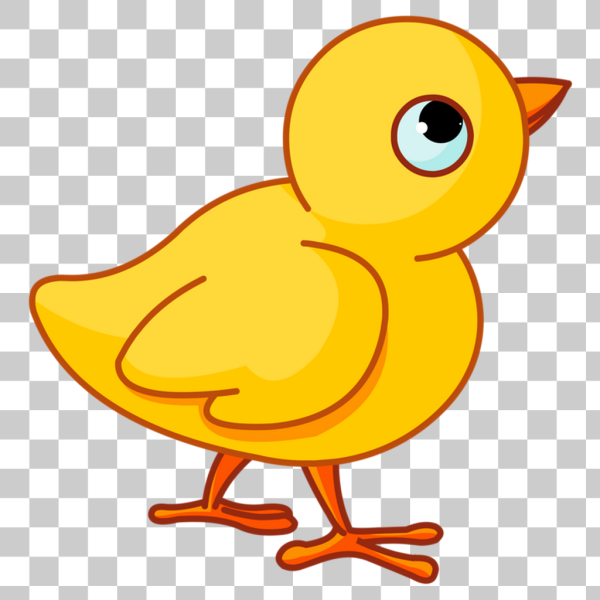 Нарисовать цыпленка