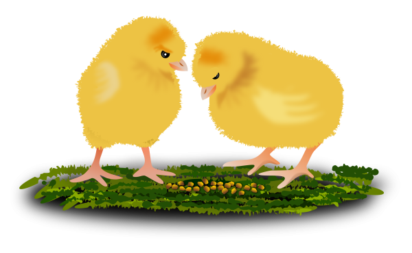 Цыпленок клипарт на прозрачном фоне