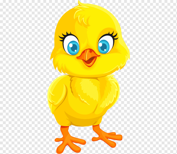 Цыпленок для дошкольников