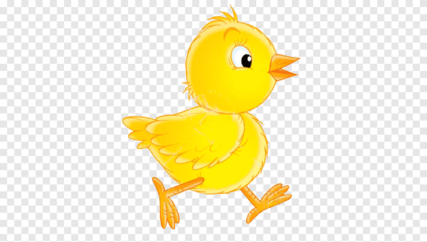 Цыплята векторные