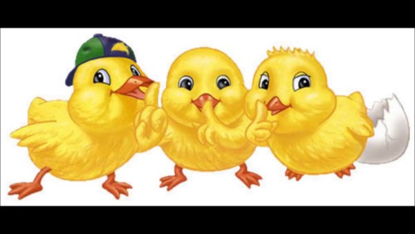 Цыпленок картинка для детей на прозрачном фоне